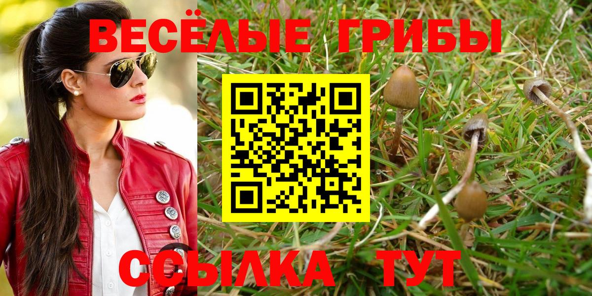купить наркотики сайты  Псилоцибиновые грибы мицелий  Вход с VPN  Зеленодольск  Псилоцибиновые грибы ЛСД 